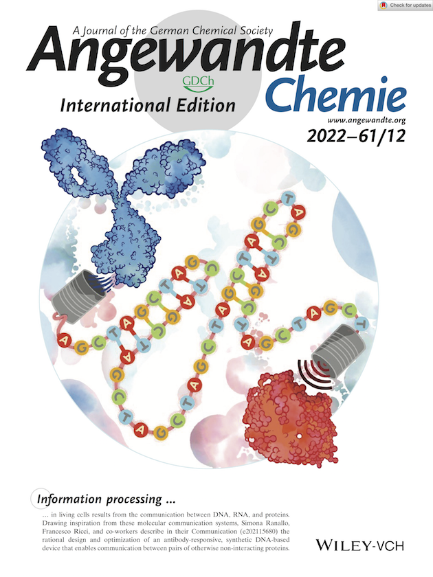 Copia di Angew Chem Int Ed 2022 Ranallo Back Cover Protein